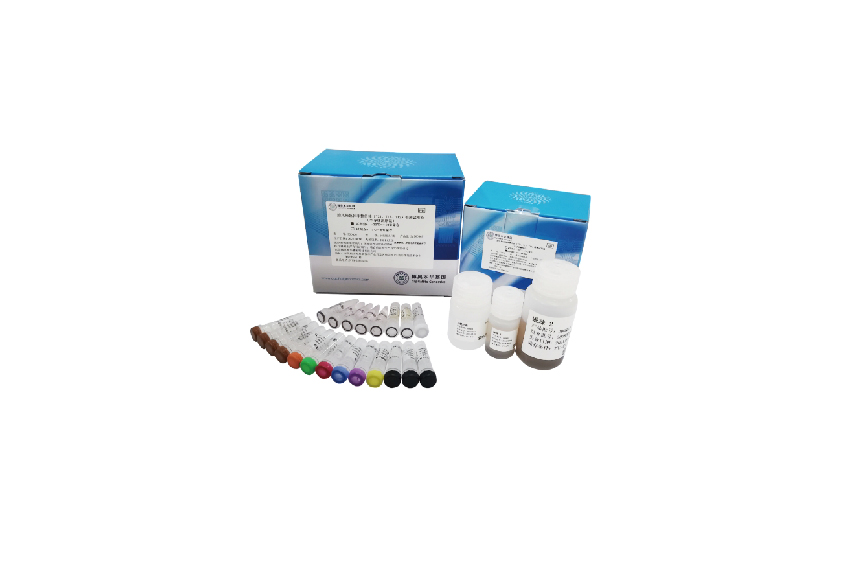 胎儿染色体非整倍体（T21、T18、T13）检测试剂盒（半导体测序法）
